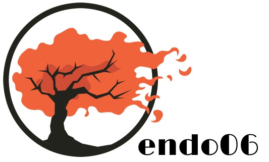 endométriose adénomyose paca nice marseille toulon cannes fréjus expert référence